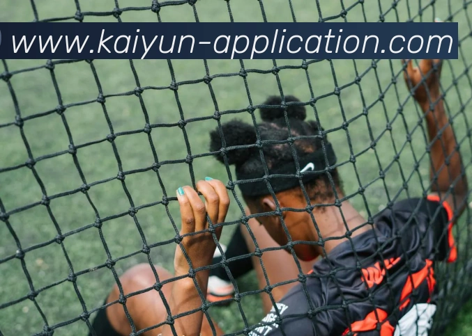 开云平台生态图